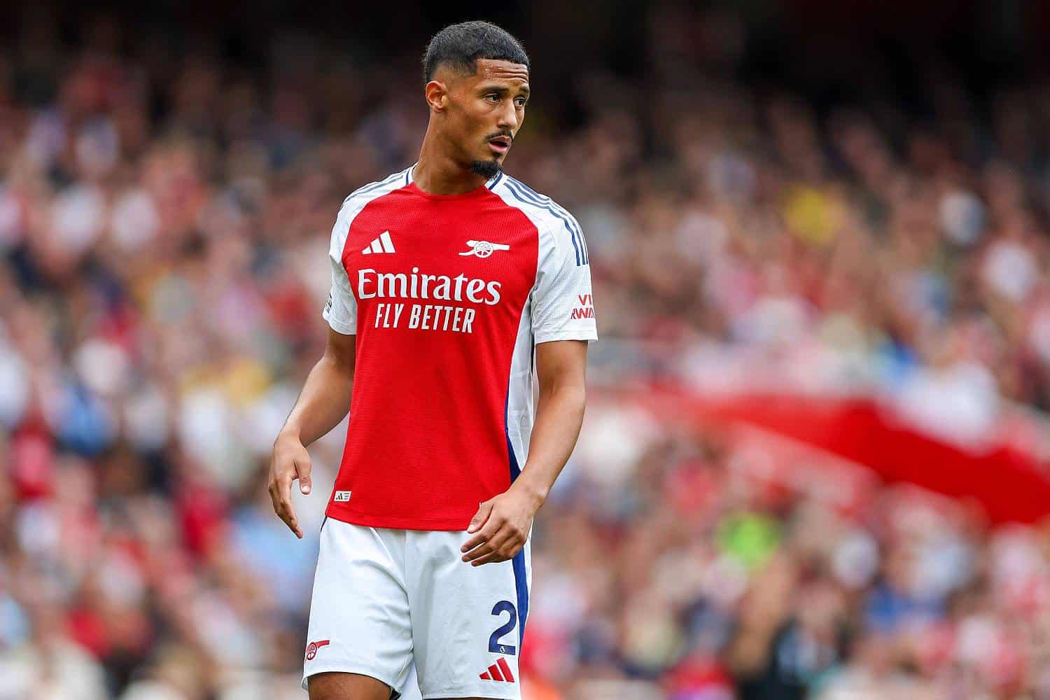 William Saliba
