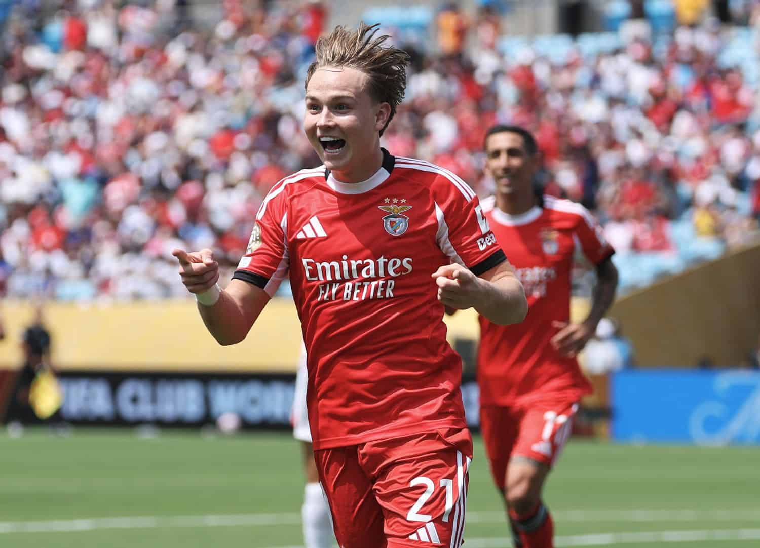 Andreas Schjelderup