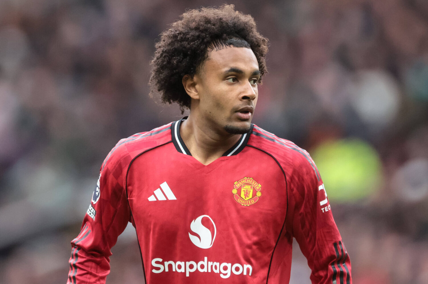 Abgang aus Manchester? Zirkzee in Italien heiß begehrt