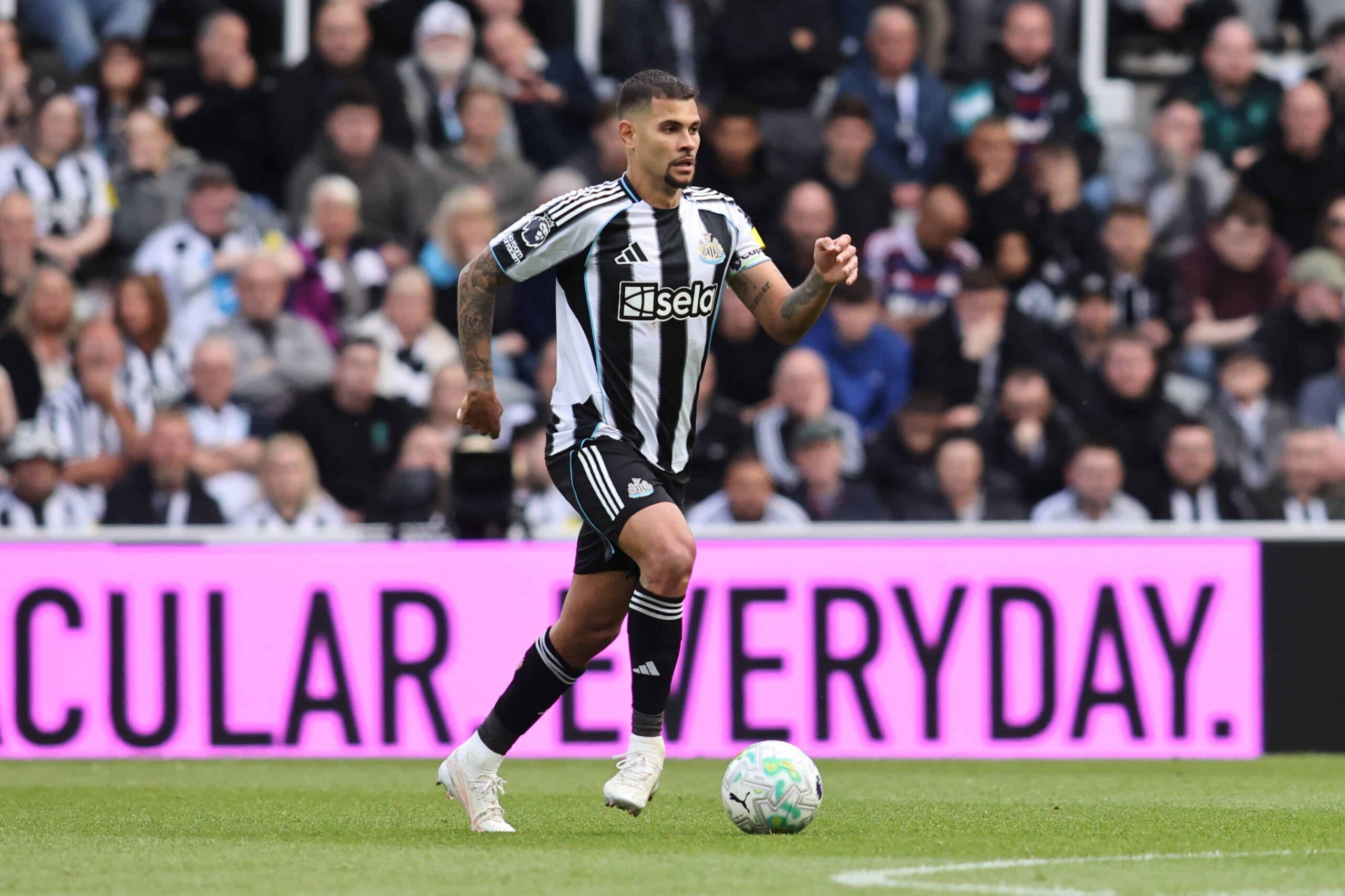 Von Newcastle nach London: Arsenal verpflichtet Bruno Guimaraes