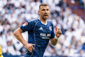 Edin Dzeko