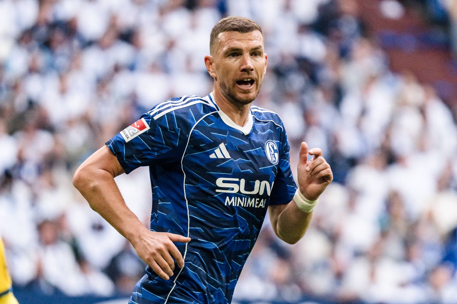 Edin Dzeko
