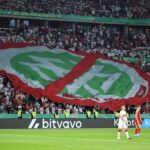 DFB-Banner