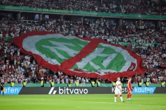 DFB-Banner