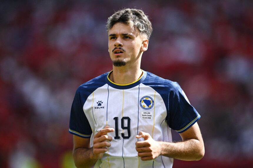 Kerim Alajbegovic