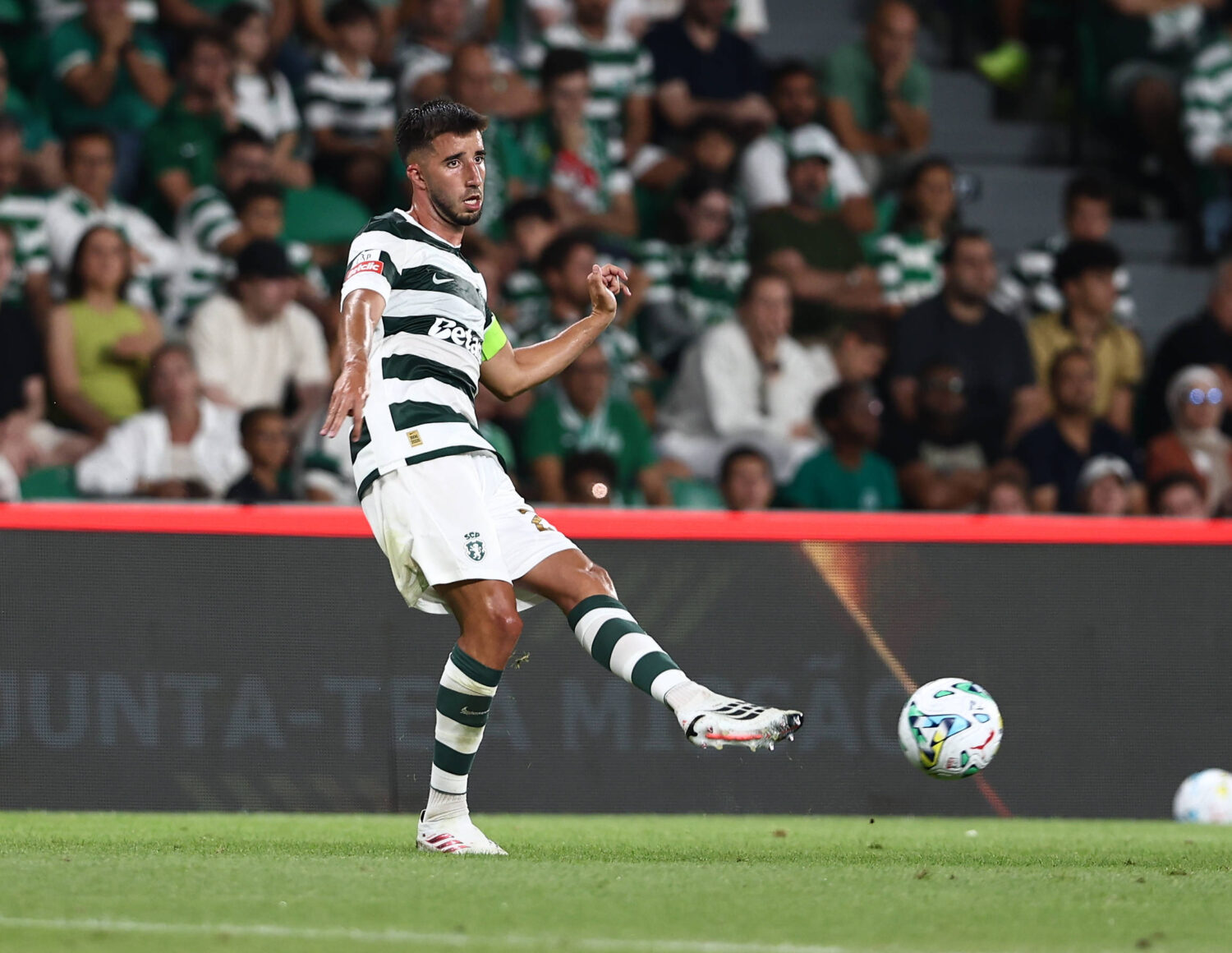 Goncalo Inacio, Sporting
