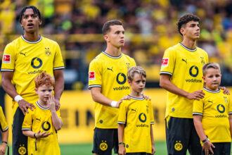 Borussia Dortmund, Bundesliga
