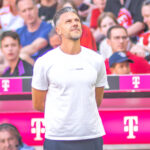 Martin Demichelis, Bundesliga