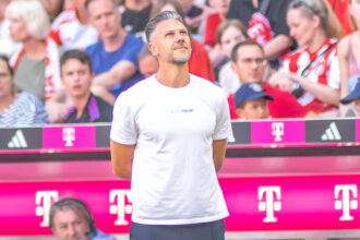 Martin Demichelis, Bundesliga