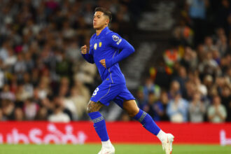 Enzo Fernandez