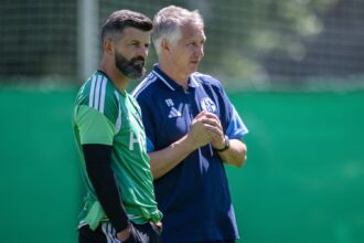 Miron Muslic, Frank Baumann