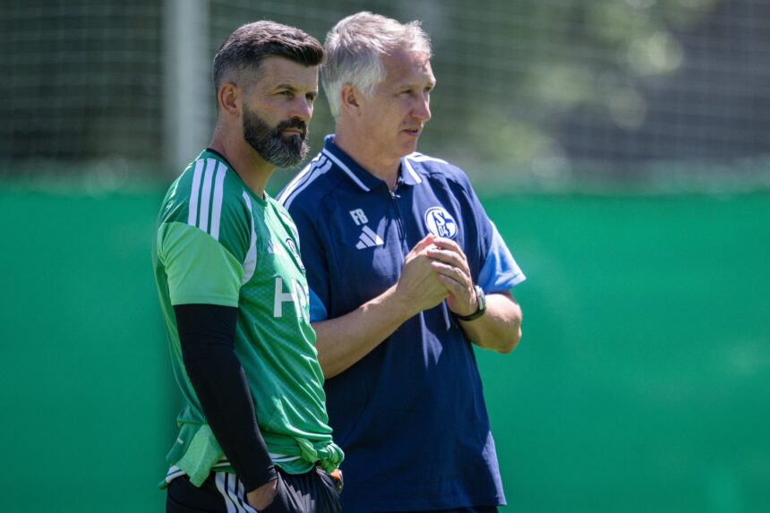 Miron Muslic, Frank Baumann