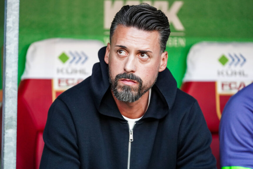 Sandro Wagner