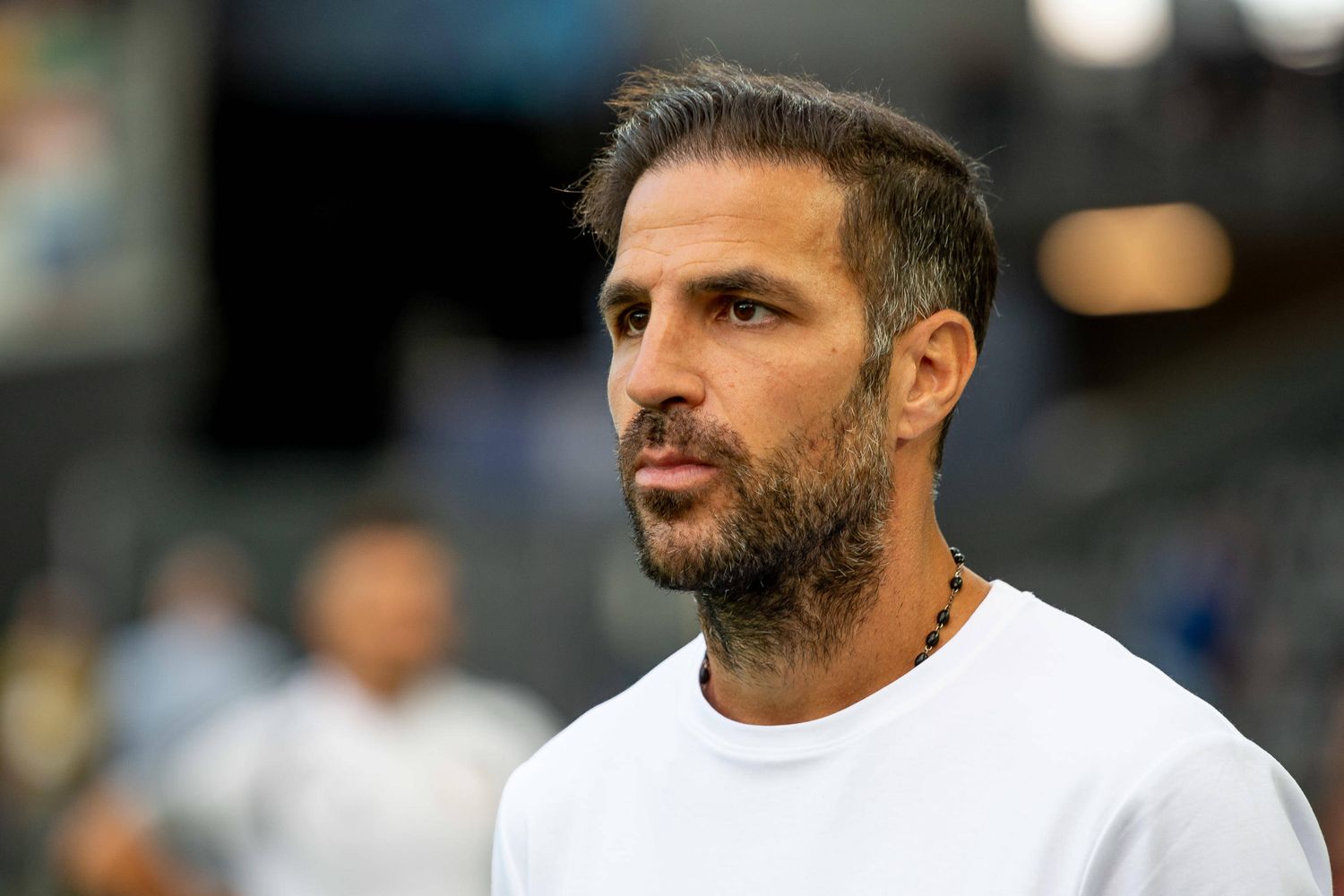Cesc Fabregas