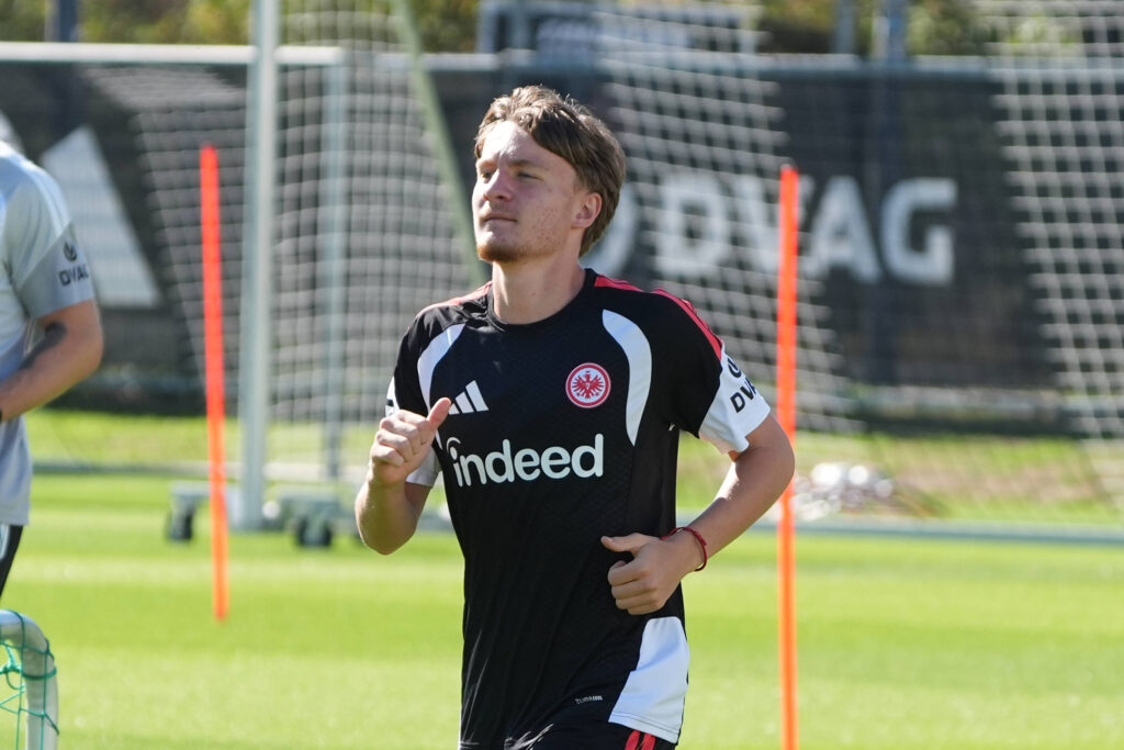Niko Ilicevic