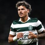 Maxi Araújo