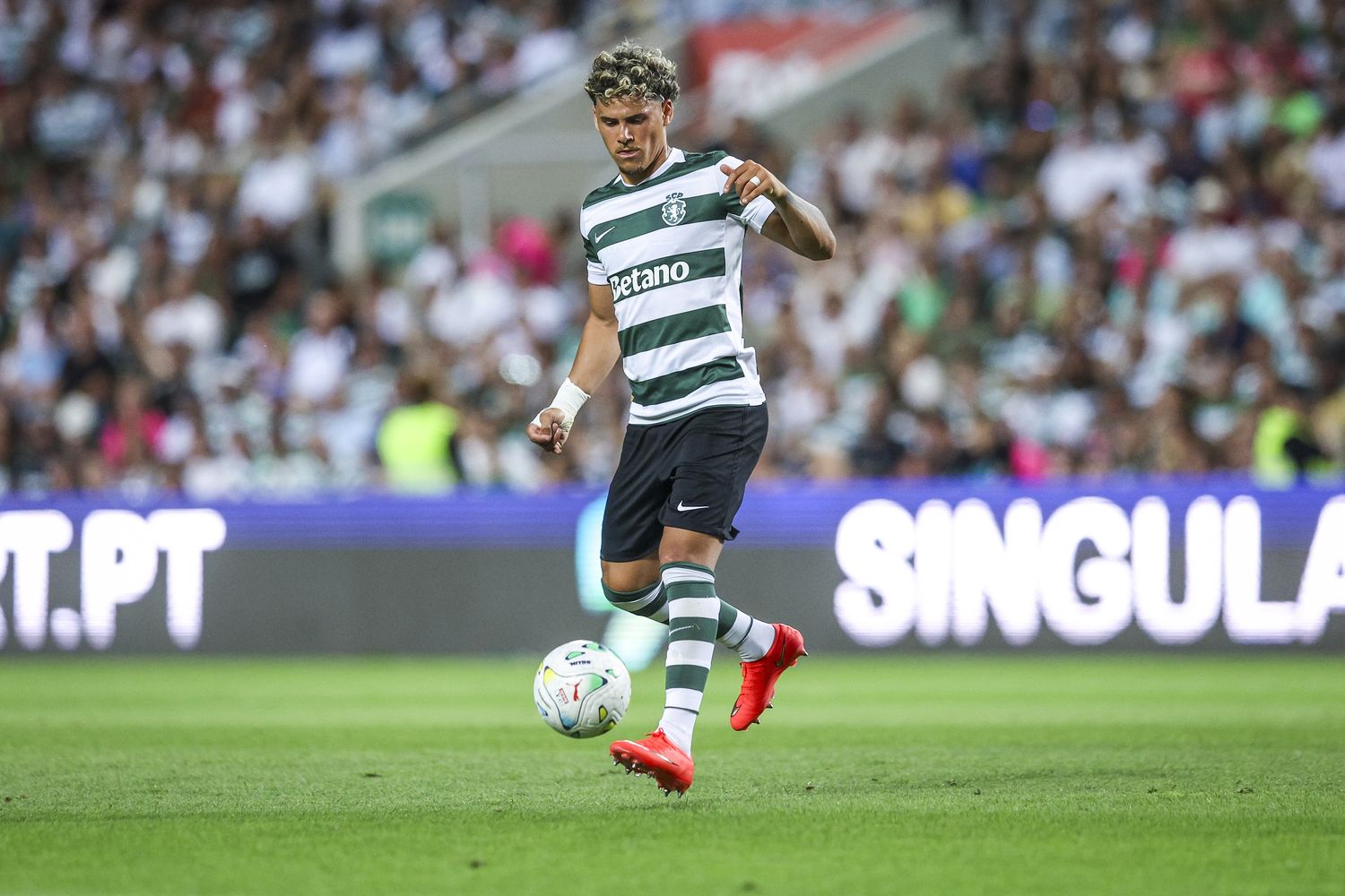 Maxi Araújo